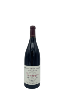 2021 A&P de Villaine Bourgogne Rouge