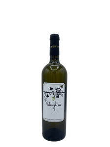 2022 Trabucco Campania Falanghina