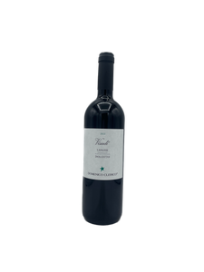 2022 Domenico Clerico "Visadi" Langhe Dolcetto