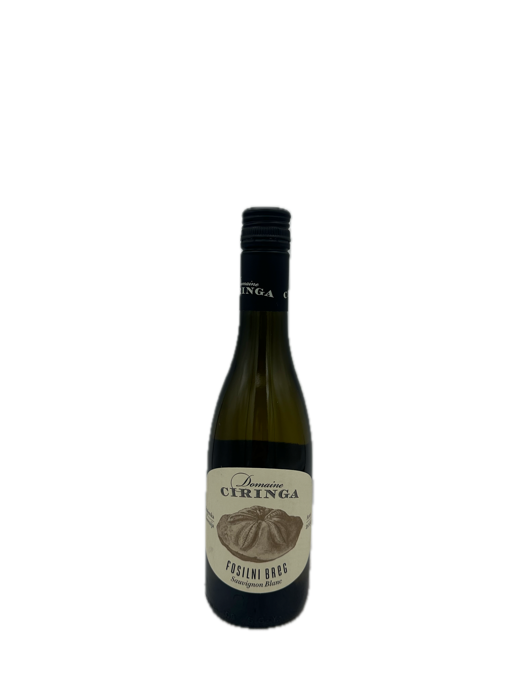 2019 Ciringa Fosilni 