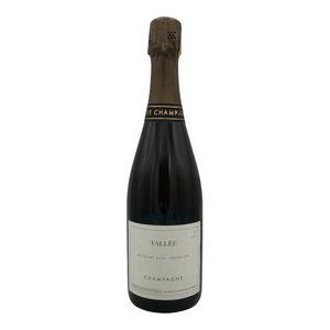 2013 Domaine Les Monts Fournois "Vallee" Grand Cru Ay Brut Champagne